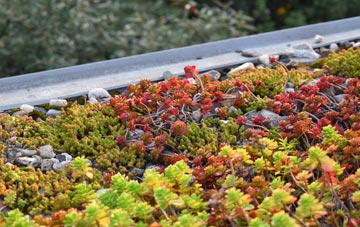 the cost of Alby Hill green roof installation