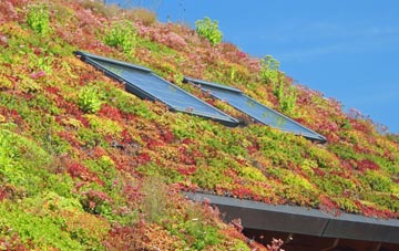 Alby Hill living roof systems